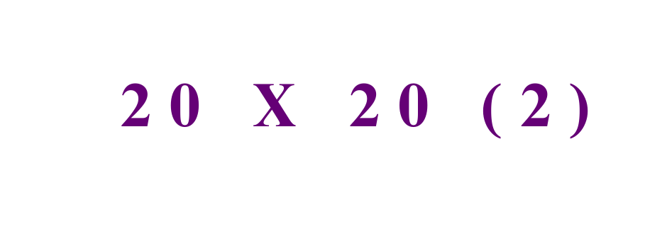 20 X 20 2